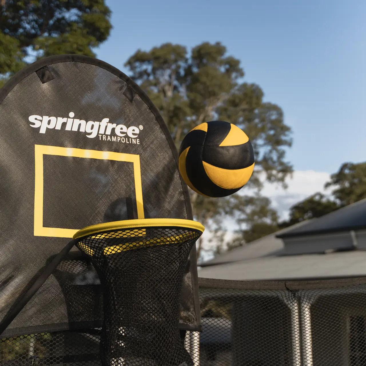 Detail basketbalového koše FlexrHoop s míčem
